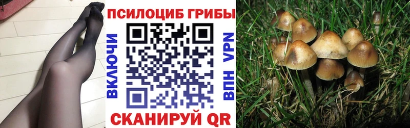 Галлюциногенные грибы прущие грибы  Купить закладки  Чердынь 